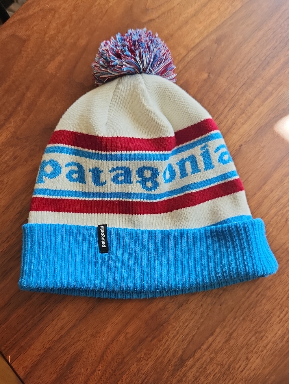 Patagonia Winter Beanie